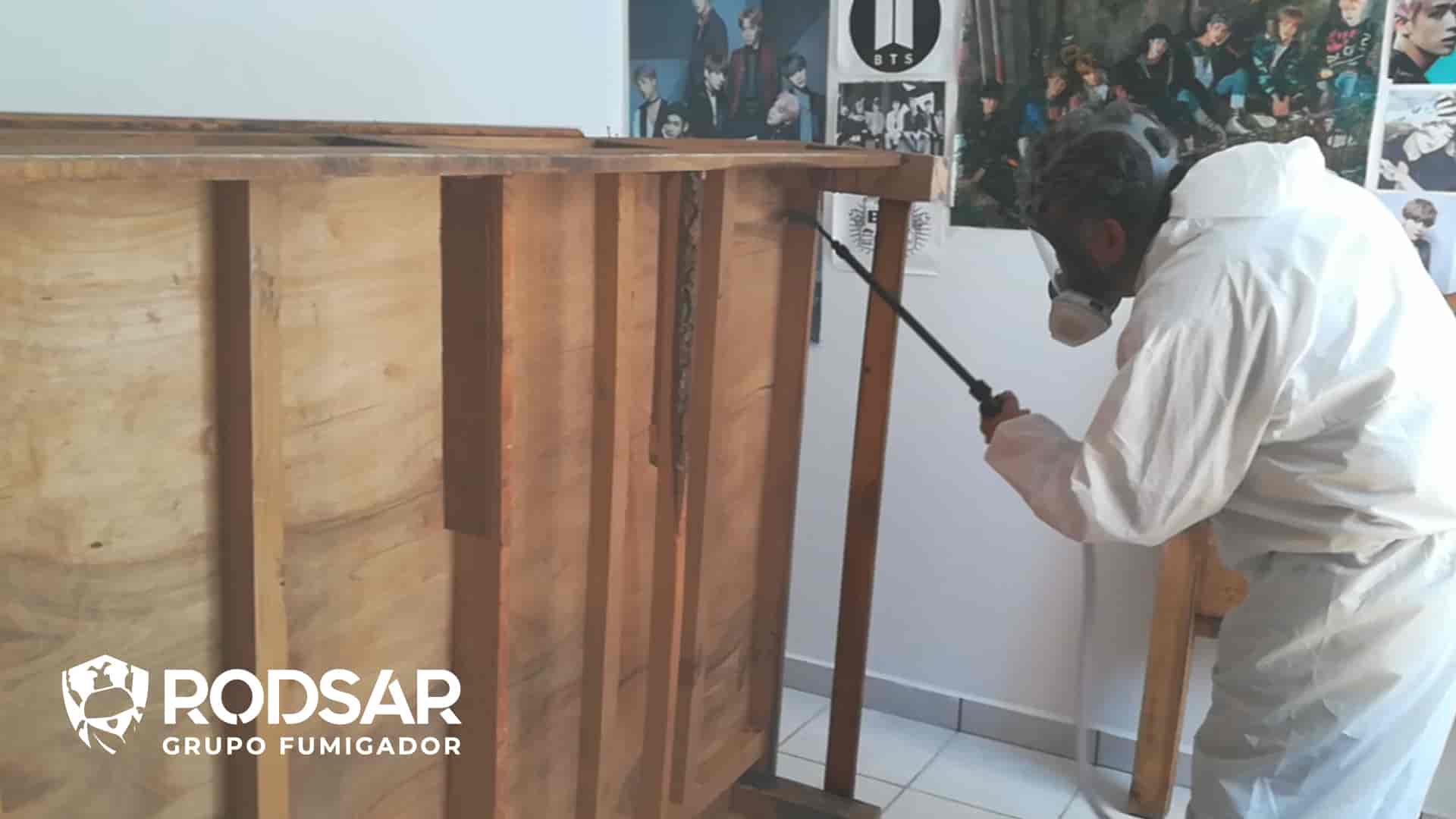 Fumigacion de Chinches