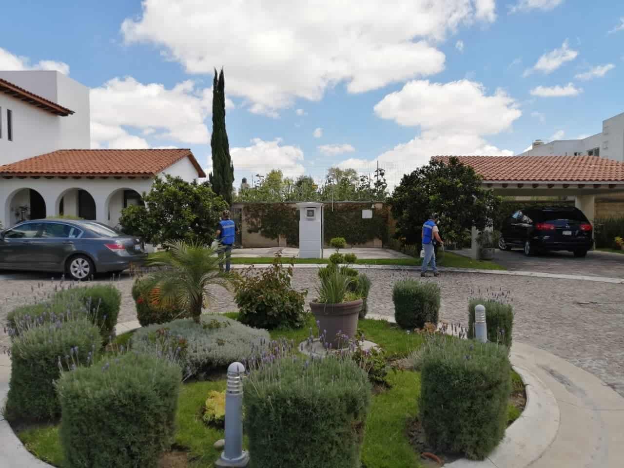 Fumigacion de jardines