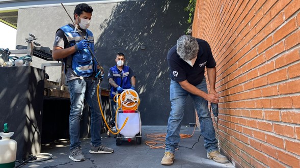 Fumigacion de termitas