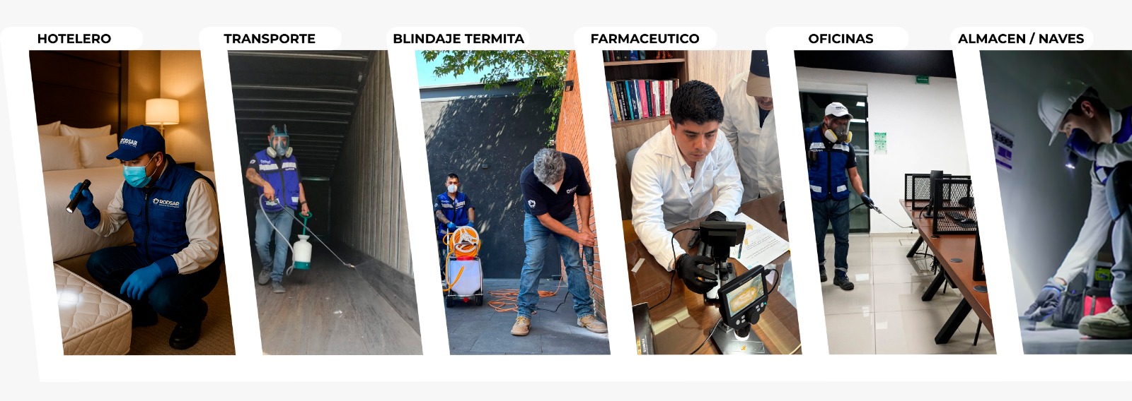 Sectores que atendemos PT2