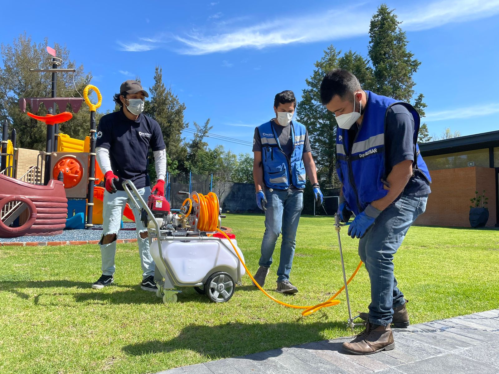 Fumigacion de termitas