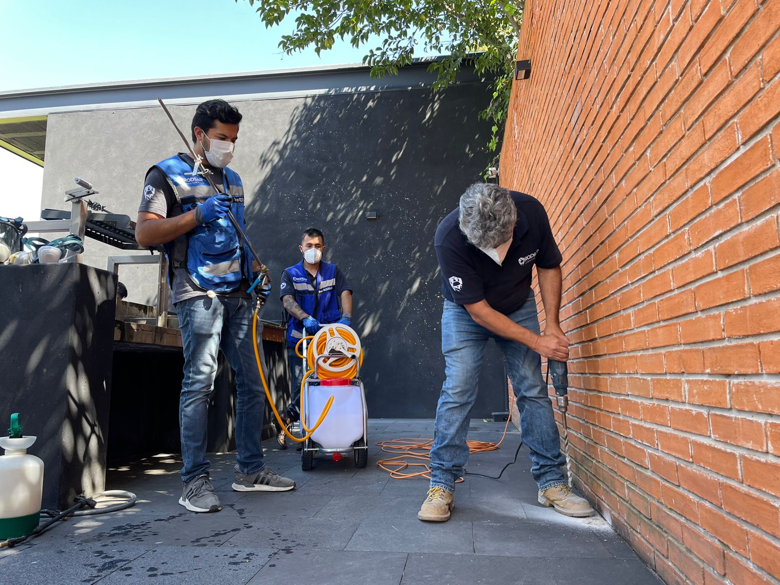 Fumigacion de termita subterranea