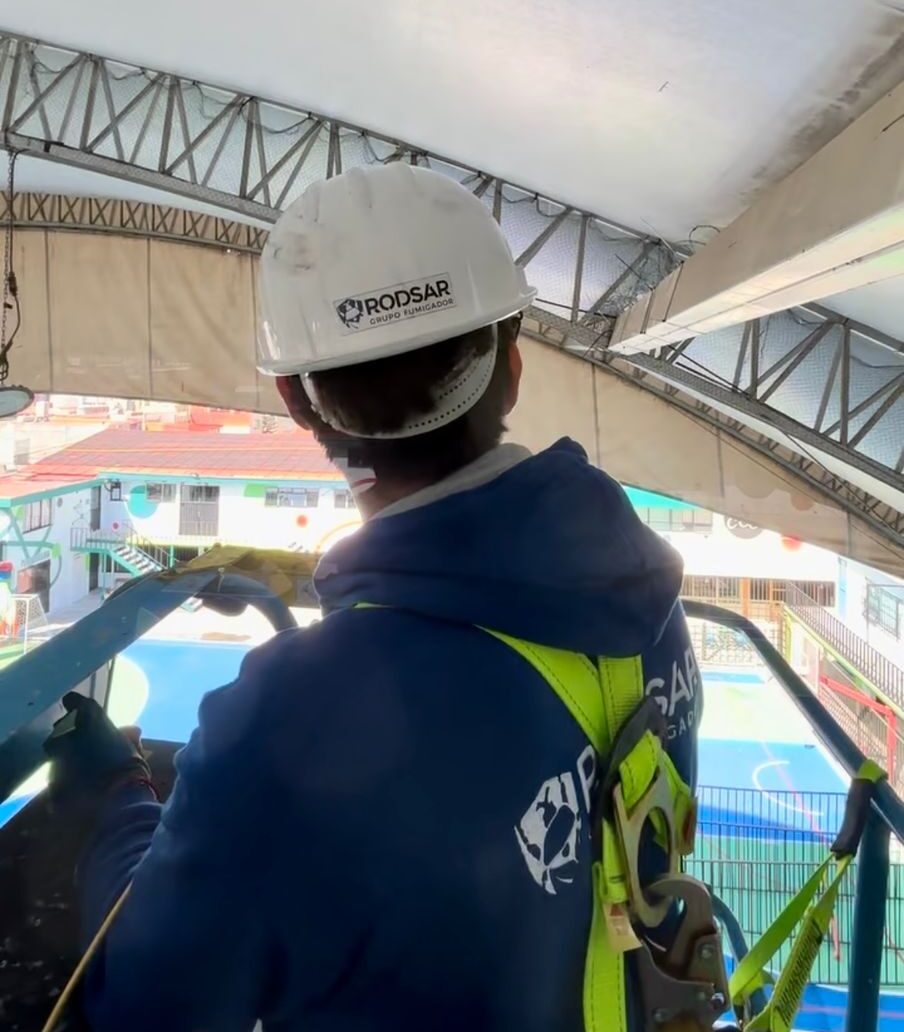 Fumigacion profesional