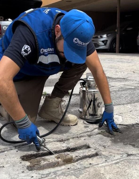 Fumigacion de cucarachas de cifas